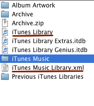 iTunes library files