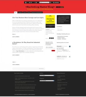 marketing-maven-2.jpg