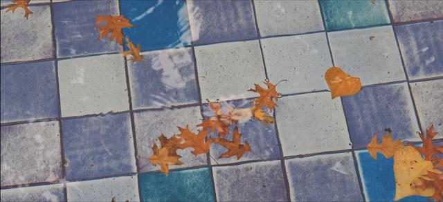 Vibrant colourful tiles covered with water and fallen leaves in Lisbon street