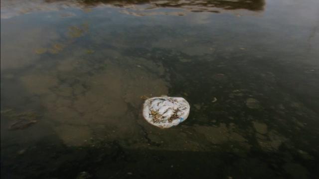 plastic bag floating in the water