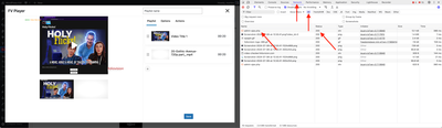 fv-player-editor-network-tab-debugging