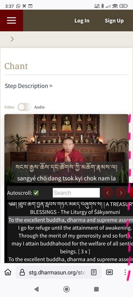 mobile-portrait-transcript-box