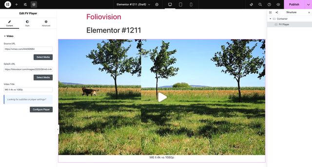fv-player-elementor-widget-3-configure-video-basic-controls