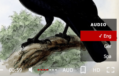 fv player remember audio tracks