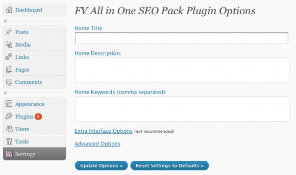 FV All in One SEO Pack simple options